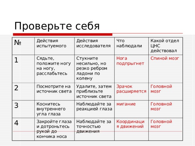 № Действия испытуемого 1 Действия исследователя Сядьте, положите ногу на ногу, расслабьтесь 2 Что наблюдали Посмотрите на источник света Стукните несильно, но резко ребром ладони по колену 3 4 Коснитесь внутреннего угла глаза Удалите, затем приблизьте источник света Нога подпрыгнет Какой отдел ЦНС действовал Зрачок расширяется Закройте глаза и дотроньтесь рукой до кончика носа Спиной мозг Наблюдайте за реакцией глаза Головной мозг мигание Наблюдайте за точностью движения Координация движений Головной мозг Головной мозг 