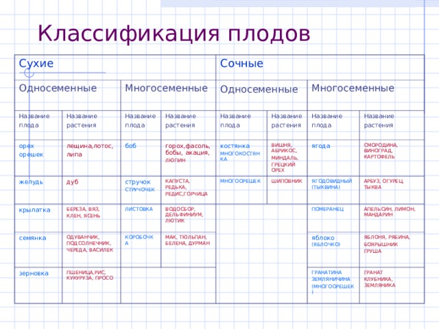 Классификация плодов Сухие Односеменные Название плода Многосеменные орех орешек Название растения Сочные лещина,лотос, липа желудь Название плода Односеменные Название растения боб крылатка дуб стручок СТРУЧОЧЕК БЕРЕЗА, ВЯЗ, КЛЕН, ЯСЕНЬ горох,фасоль, бобы, акация, ЛЮПИН Название плода семянка Многосеменные КАПУСТА, РЕДЬКА, РЕДИС,ГОРЧИЦА костянка МНОГОКОСТЯНКА зерновка ЛИСТОВКА Название растения ОДУВАНЧИК, ПОДСОЛНЕЧНИК, ЧЕРЕДА, ВАСИЛЕК ВОДОСБОР, ДЕЛЬФИНИУМ, ЛЮТИК КОРОБОЧКА МНОГООРЕШЕК ВИШНЯ, АБРИКОС, МИНДАЛЬ, ГРЕЦКИЙ ОРЕХ ПШЕНИЦА,РИС, КУКУРУЗА, ПРОСО Название плода МАК, ТЮЛЬПАН, БЕЛЕНА, ДУРМАН ШИПОВНИК Название растения ягода ЯГОДОВИДНЫЙ (ТЫКВИНА) СМОРОДИНА, ВИНОГРАД, КАРТОФЕЛЬ ПОМЕРАНЕЦ АРБУЗ, ОГУРЕЦ, ТЫКВА АПЕЛЬСИН, ЛИМОН, МАНДАРИН яблоко (ЯБЛОЧКО) ЯБЛОНЯ, РЯБИНА, БОЯРЫШНИК ГРУША ГРАНАТИНА ЗЕМЛЯНИЧИНА (МНОГООРЕШЕК) ГРАНАТ КЛУБНИКА, ЗЕМЛЯНИКА 