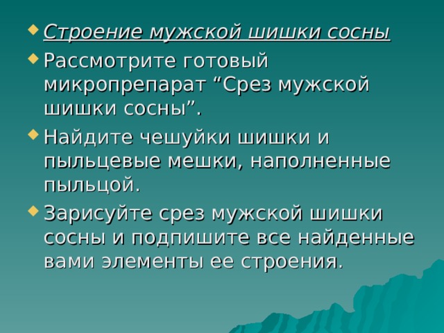Строение мужской шишки сосны 