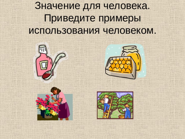 Значение для человека. Приведите примеры использования человеком. 