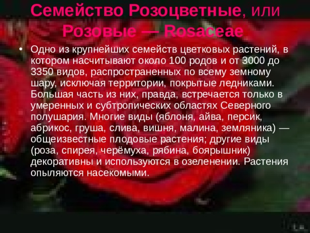 Семейство Розоцветные , или Розовые — Rosaceae  Одно из крупнейших семейств цветковых растений, в котором насчитывают около 100 родов и от 3000 до 3350 видов, распространенных по всему земному шару, исключая территории, покрытые ледниками. Большая часть из них, правда, встречается только в умеренных и субтропических областях Северного полушария. Многие виды (яблоня, айва, персик, абрикос, груша, слива, вишня, малина, земляника) — общеизвестные плодовые растения; другие виды (роза, спирея, черёмуха, рябина, боярышник) декоративны и используются в озеленении. Растения опыляются насекомыми. 