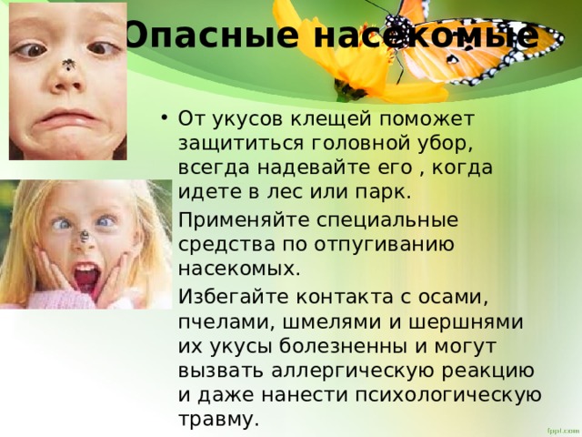 Опасные насекомые   От укусов клещей поможет защититься головной убор, всегда надевайте его , когда идете в лес или парк. Применяйте специальные средства по отпугиванию насекомых. Избегайте контакта с осами, пчелами, шмелями и шершнями их укусы болезненны и могут вызвать аллергическую реакцию и даже нанести психологическую травму. 