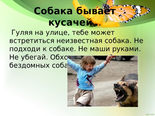 Собака бывает кусачей ...  Гуляя на улице, тебе может встретиться неизвестная собака. Не подходи к собаке. Не маши руками. Не убегай. Обходи стороной бездомных собак. 