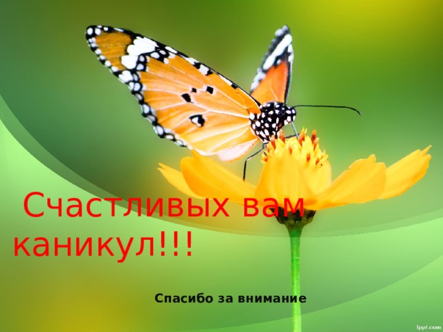  Счастливых вам каникул!!!  Спасибо за внимание 
