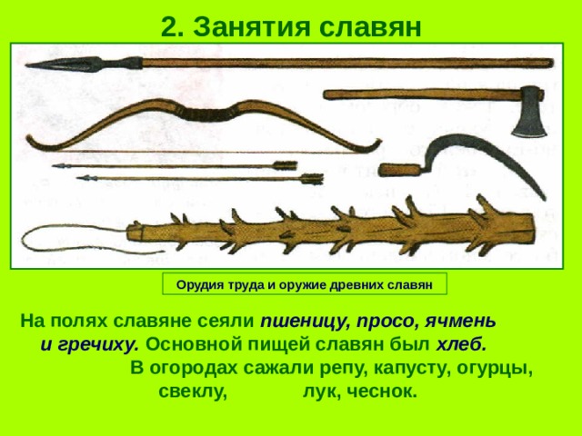 2. Занятия славян Орудия труда и оружие древних славян На полях славяне сеяли пшеницу, просо, ячмень и гречиху. Основной пищей славян был хлеб. В огородах сажали репу, капусту, огурцы, свеклу, лук, чеснок. 
