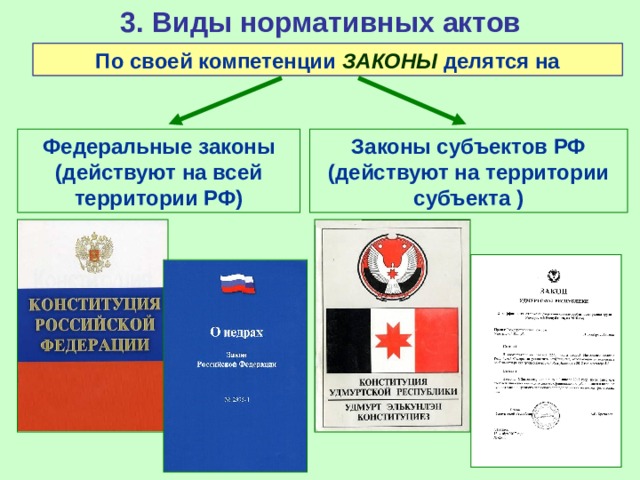 3. Виды нормативных актов По своей компетенции ЗАКОНЫ делятся на Федеральные законы (действуют на всей территории РФ) Законы субъектов РФ (действуют на территории субъекта ) 
