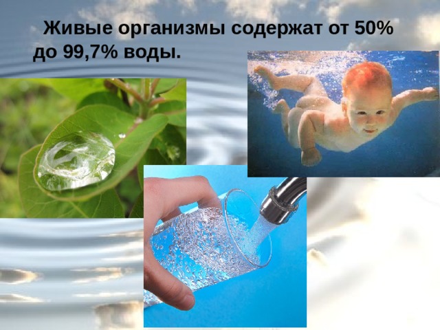 Живые организмы содержат от 50% до 99,7% воды. 
