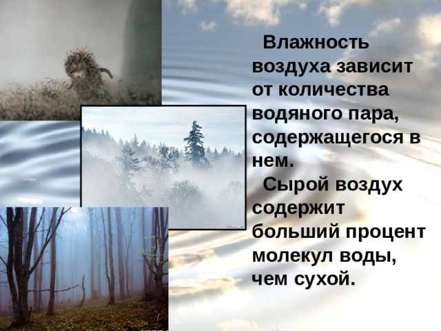 Влажность воздуха зависит от количества водяного пара, содержащегося в нем.  Сырой воздух содержит больший процент молекул воды, чем сухой. 