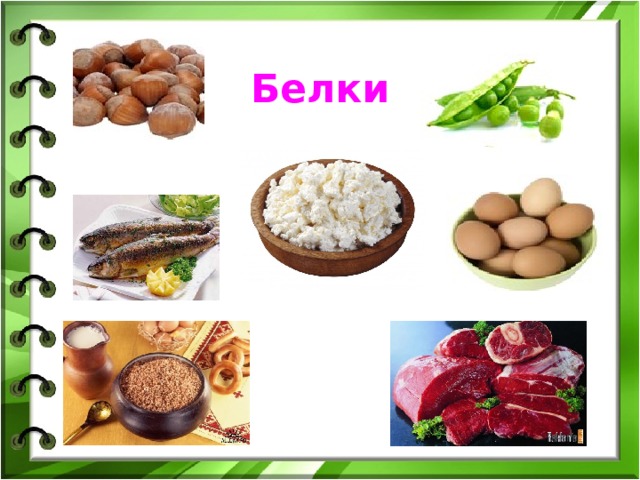 Белки 