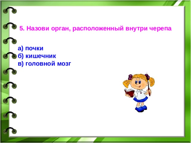 5. Назови орган, расположенный внутри черепа а) почки б)  кишечник в) головной мозг   