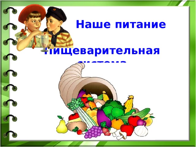  Наше питание   Пищеварительная система 