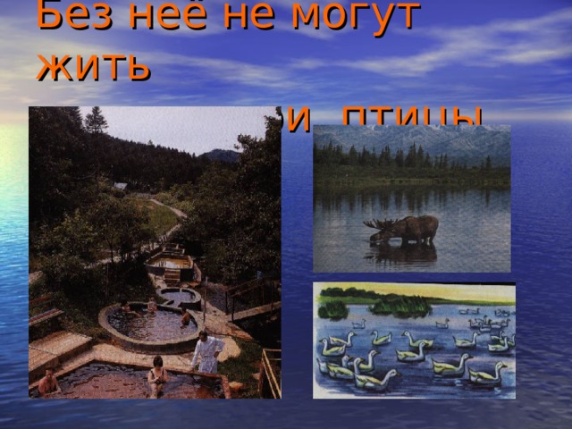 Без неё не могут жить  люди, звери, птицы  