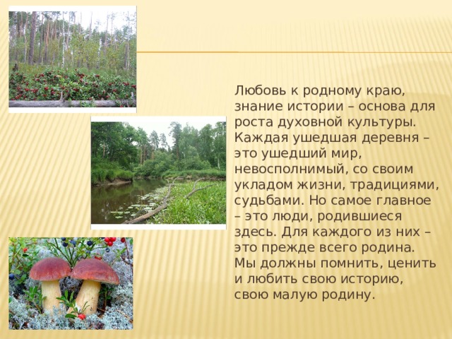 Любовь к родному краю, знание истории – основа для роста духовной культуры. Каждая ушедшая деревня – это ушедший мир, невосполнимый, со своим укладом жизни, традициями, судьбами. Но самое главное – это люди, родившиеся здесь. Для каждого из них – это прежде всего родина. Мы должны помнить, ценить и любить свою историю, свою малую родину. 