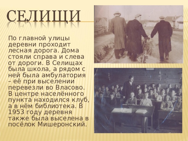 По главной улицы деревни проходит лесная дорога. Дома стояли справа и слева от дороги. В Селищах была школа, а рядом с ней была амбулатория – её при выселении перевезли во Власово. В центре населённого пункта находился клуб, а в нём библиотека. В 1953 году деревня также была выселена в посёлок Мишеронский. 