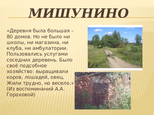 мишунино «Деревня была большая – 80 домов. Но не было ни школы, ни магазина, ни клуба, ни амбулатории. Пользовались услугами соседних деревень. Было своё подсобное хозяйство: выращивали коров, лошадей, овец. Жили трудно, но весело.» (Из воспоминаний А.А. Гороховой) 