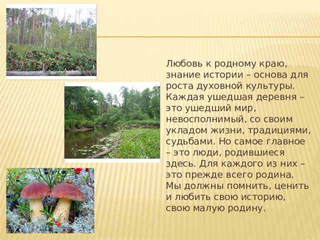Любовь к родному краю, знание истории – основа для роста духовной культуры. Каждая ушедшая деревня – это ушедший мир, невосполнимый, со своим укладом жизни, традициями, судьбами. Но самое главное – это люди, родившиеся здесь. Для каждого из них – это прежде всего родина. Мы должны помнить, ценить и любить свою историю, свою малую родину. 
