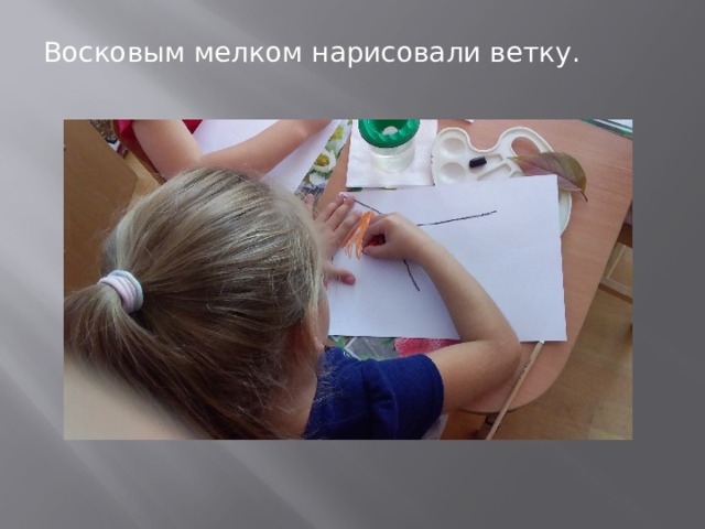 Восковым мелком нарисовали ветку. 