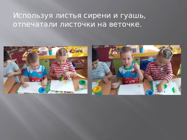 Используя листья сирени и гуашь, отпечатали листочки на веточке. 