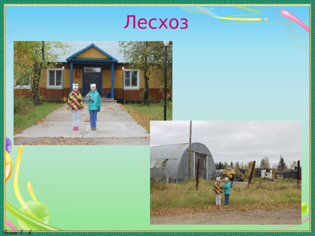 Лесхоз 