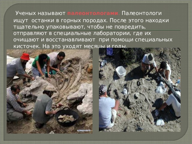  Ученых называют палеонтологами . Палеонтологи ищут останки в горных породах. После этого находки тщательно упаковывают, чтобы не повредить, отправляют в специальные лаборатории, где их очищают и восстанавливают при помощи специальных кисточек. На это уходят месяцы и годы. 