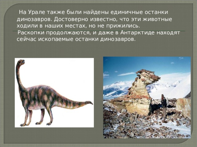  На Урале также были найдены единичные останки динозавров. Достоверно известно, что эти животные ходили в наших местах, но не прижились.  Раскопки продолжаются, и даже в Антарктиде находят сейчас ископаемые останки динозавров. 