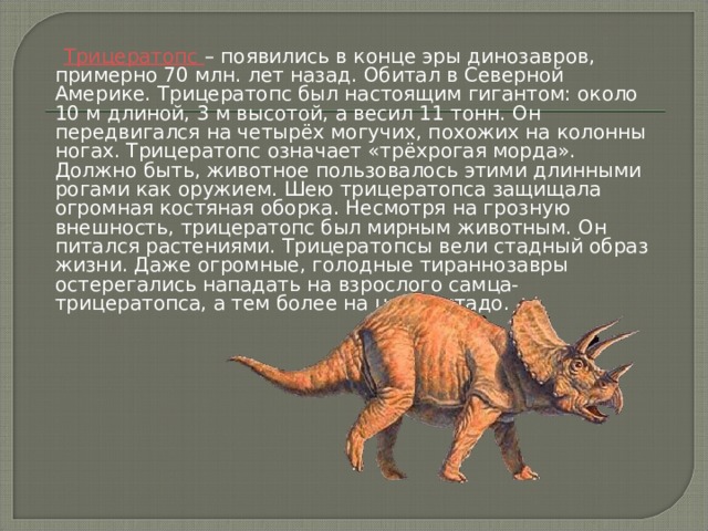   Трицератопс – появились в конце эры динозавров, примерно 70 млн. лет назад. Обитал в Северной Америке. Трицератопс был настоящим гигантом: около 10 м длиной, 3 м высотой, а весил 11 тонн. Он передвигался на четырёх могучих, похожих на колонны ногах. Трицератопс означает «трёхрогая морда». Должно быть, животное пользовалось этими длинными рогами как оружием. Шею трицератопса защищала огромная костяная оборка. Несмотря на грозную внешность, трицератопс был мирным животным. Он питался растениями. Трицератопсы вели стадный образ жизни. Даже огромные, голодные тираннозавры остерегались нападать на взрослого самца-трицератопса, а тем более на целое стадо. 