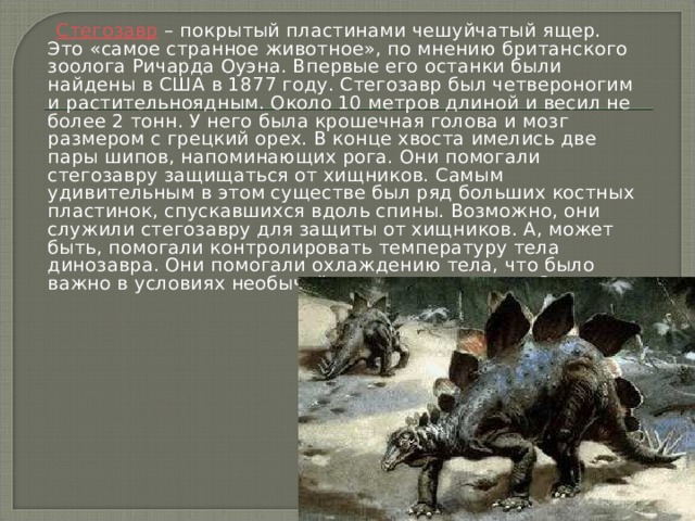  Стегозавр – покрытый пластинами чешуйчатый ящер. Это «самое странное животное», по мнению британского зоолога Ричарда Оуэна. Впервые его останки были найдены в США в 1877 году. Стегозавр был четвероногим и растительноядным. Около 10 метров длиной и весил не более 2 тонн. У него была крошечная голова и мозг размером с грецкий орех. В конце хвоста имелись две пары шипов, напоминающих рога. Они помогали стегозавру защищаться от хищников. Самым удивительным в этом существе был ряд больших костных пластинок, спускавшихся вдоль спины. Возможно, они служили стегозавру для защиты от хищников. А, может быть, помогали контролировать температуру тела динозавра. Они помогали охлаждению тела, что было важно в условиях необычайно жаркого климата Земли.    