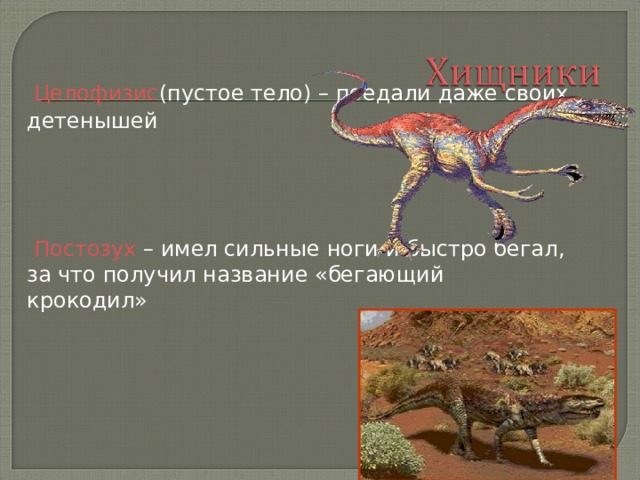  Целофизис (пустое тело) – поедали даже своих детенышей  Постозух – имел сильные ноги и быстро бегал, за что получил название «бегающий крокодил» 