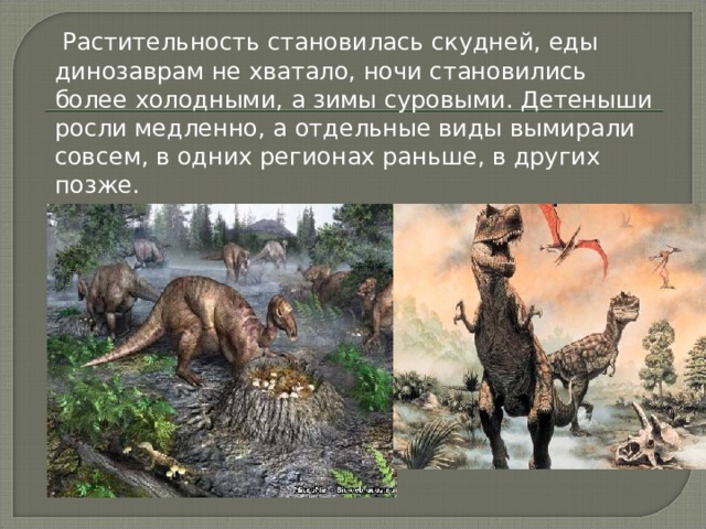  Растительность становилась скудней, еды динозаврам не хватало, ночи становились более холодными, а зимы суровыми. Детеныши росли медленно, а отдельные виды вымирали совсем, в одних регионах раньше, в других позже. 