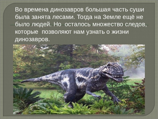 Во времена динозавров большая часть суши была занята лесами. Тогда на Земле ещё не было людей. Но осталось множество следов, которые позволяют нам узнать о жизни динозавров. 