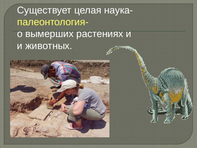 Существует целая наука- палеонтология- о вымерших растениях и и животных. 