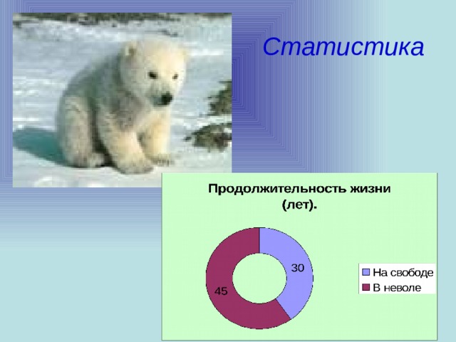 Статистика 