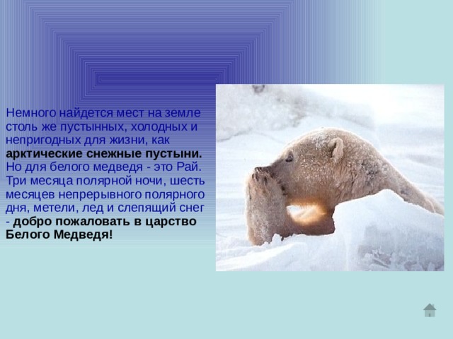  Немного найдется мест на земле столь же пустынных, холодных и непригодных для жизни, как арктические снежные пустыни. Но для белого медведя - это Рай. Три месяца полярной ночи, шесть месяцев непрерывного полярного дня, метели, лед и слепящий снег - добро пожаловать в царство Белого Медведя! 