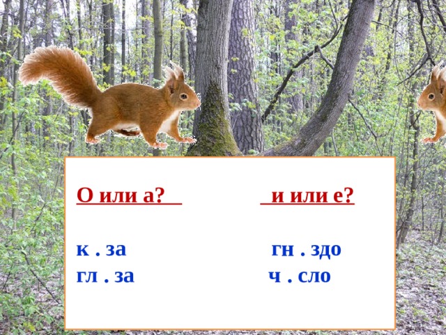 О или а?  и или е? к . за гн . здо гл . за ч . сло 