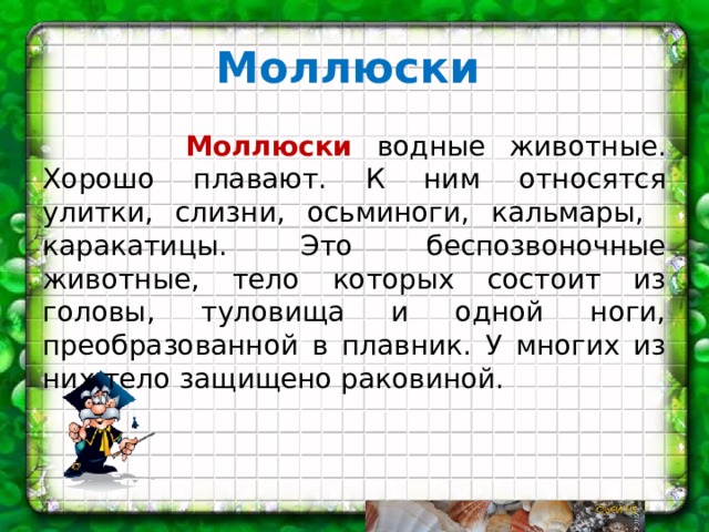 Моллюски    Моллюски водные животные. Хорошо плавают. К ним относятся улитки, слизни, осьминоги, кальмары, каракатицы. Это беспозвоночные животные, тело которых состоит из головы, туловища и одной ноги, преобразованной в плавник. У многих из них тело защищено раковиной. 