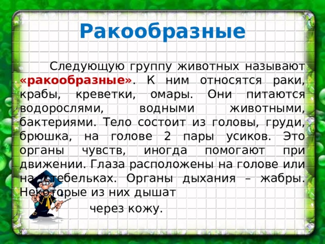 Ракообразные  Следующую группу животных называют «ракообразные» . К ним относятся раки, крабы, креветки, омары. Они питаются водорослями, водными животными, бактериями. Тело состоит из головы, груди, брюшка, на голове 2 пары усиков. Это органы чувств, иногда помогают при движении. Глаза расположены на голове или на стебельках. Органы дыхания – жабры. Некоторые из них дышат  через кожу. 