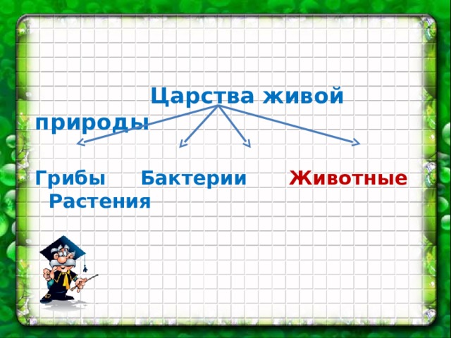  Царства живой природы  Грибы Бактерии Животные  Растения  