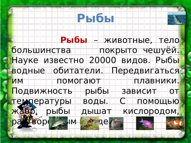 Рыбы  Рыбы – животные, тело большинства покрыто чешуёй. Науке известно 20000 видов. Рыбы водные обитатели. Передвигаться им помогают плавники. Подвижность рыбы зависит от температуры воды. С помощью жабр рыбы дышат кислородом, растворённым в воде. 