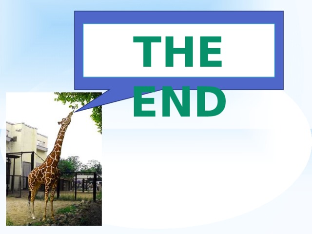 The end 
