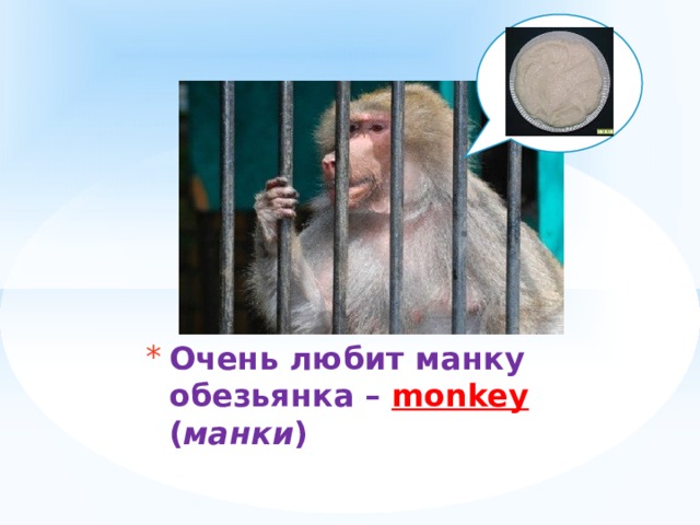 Очень любит манку  обезьянка – monkey ( манки ) 
