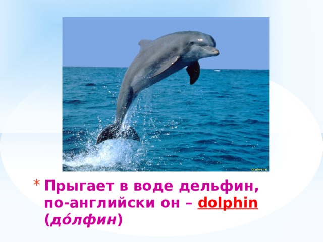 Прыгает в воде дельфин,  по-английски он – dolphin ( дóлфин ) 