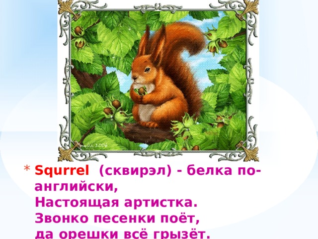 Squrrel (сквирэл) - белка по-английски,  Настоящая артистка.  Звонко песенки поёт,  да орешки всё грызёт.   