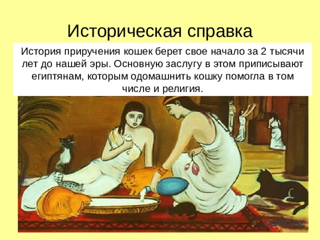 Историческая справка История приручения кошек берет свое начало за 2 тысячи лет до нашей эры. Основную заслугу в этом приписывают египтянам, которым одомашнить кошку помогла в том числе и религия. 
