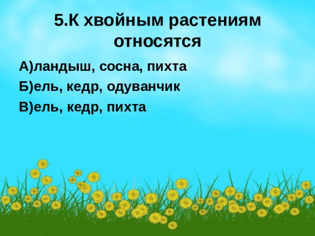 5.К хвойным растениям относятся А)ландыш, сосна, пихта Б)ель, кедр, одуванчик В)ель, кедр, пихта 