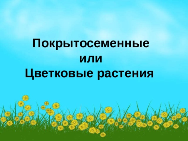 Покрытосеменные или Цветковые растения  
