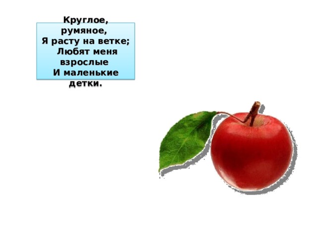 Круглое, румяное,  Я расту на ветке;  Любят меня взрослые  И маленькие детки. 