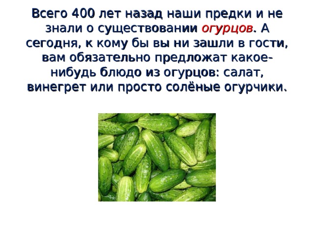 Всего 400 лет назад наши предки и не знали о существовании  огурцов . А сегодня, к кому бы вы ни зашли в гости, вам обязательно предложат какое-нибудь блюдо из огурцов: салат, винегрет или просто солёные огурчики.     