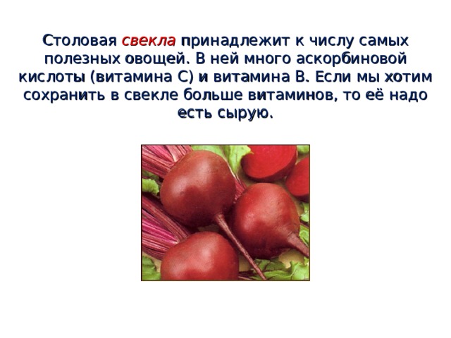 Столовая  свекла принадлежит к числу самых полезных овощей. В ней много аскорбиновой кислоты (витамина С) и витамина В. Если мы хотим сохранить в свекле больше витаминов, то её надо есть сырую.   
