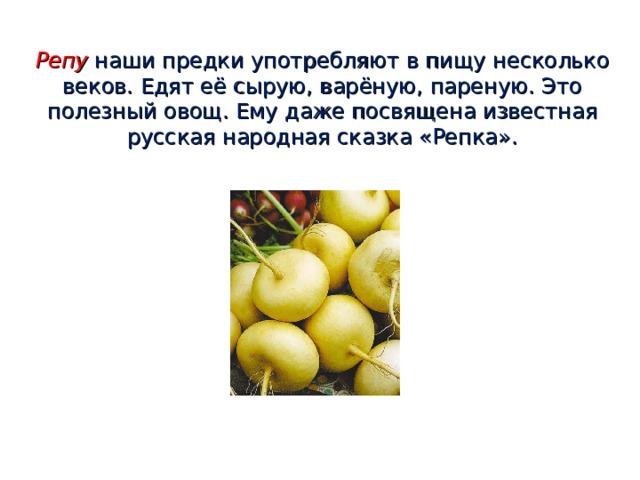 Репу  наши предки употребляют в пищу несколько веков. Едят её сырую, варёную, пареную. Это полезный овощ. Ему даже посвящена известная русская народная сказка «Репка». 