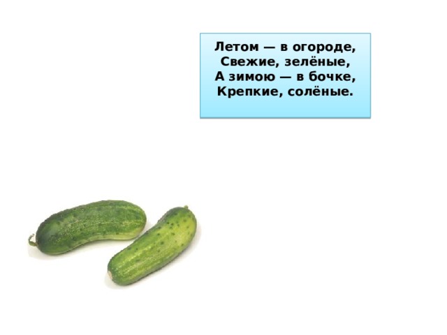 Летом — в огороде,  Свежие, зелёные,  А зимою — в бочке,  Крепкие, солёные.   